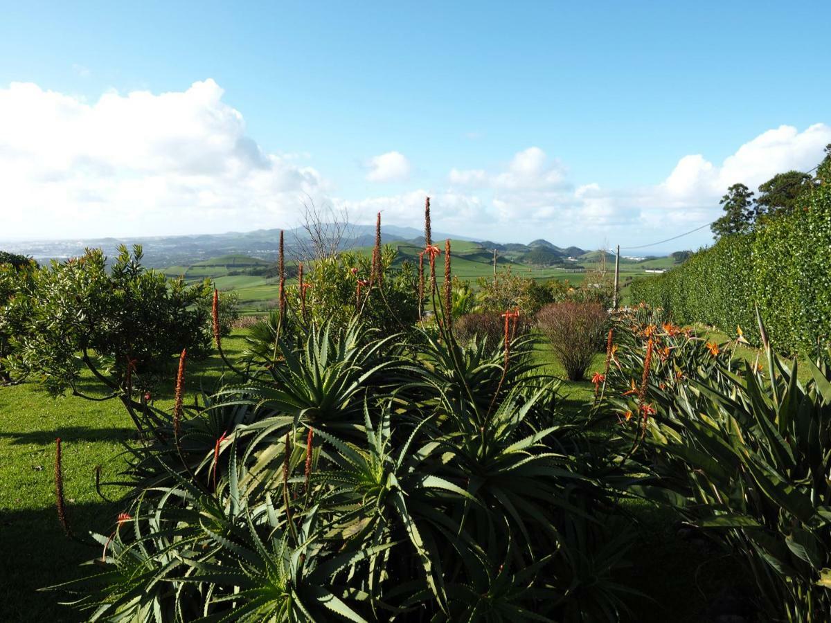 Villa Flor Do Monte Lagoa  Exteriör bild